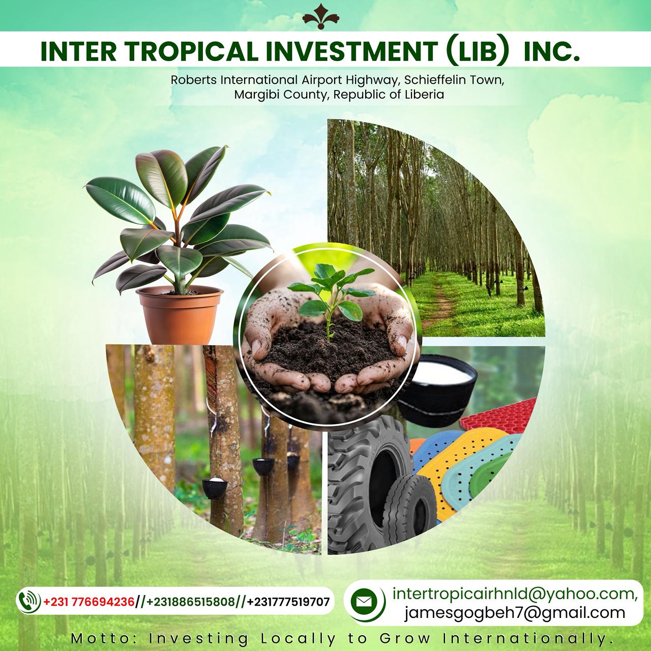 Intertropical Investment Logo